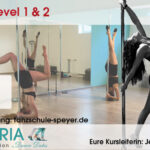 Pole Dance Level 1 & 2