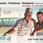 Disco-Fox Spezial-Workshop-Weekend in Speyer
